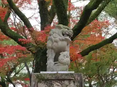 八坂神社(祇園さん)の狛犬