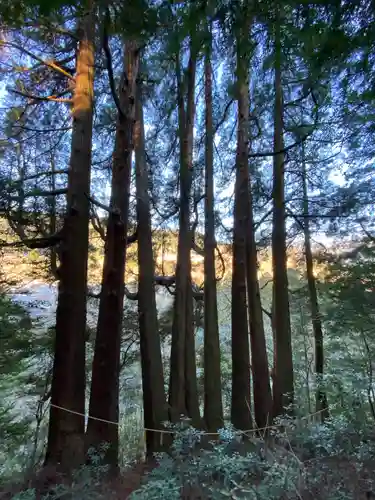 天岩戸神社(宮崎県)