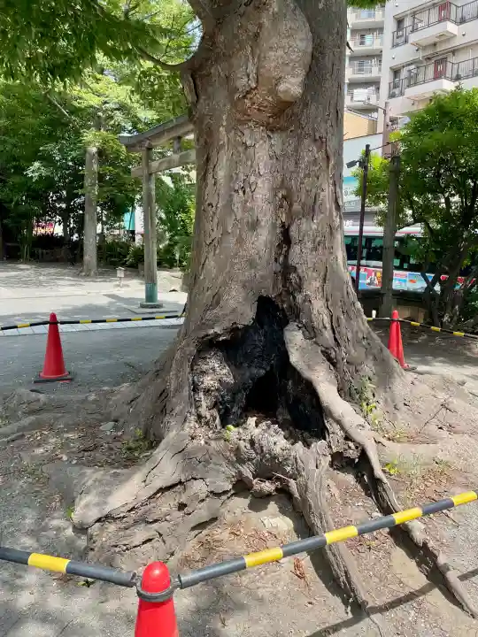 亀岡八幡宮(亀岡八幡神社)(神奈川県)