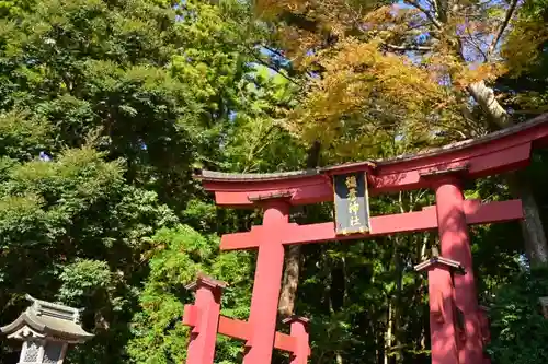 彌彦神社(新潟県)