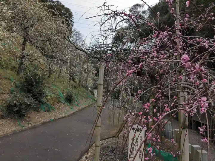 大縣神社(愛知県)