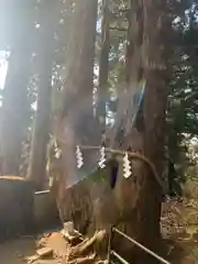 玉置神社(奈良県)