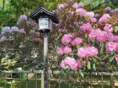 太龍寺(徳島県)