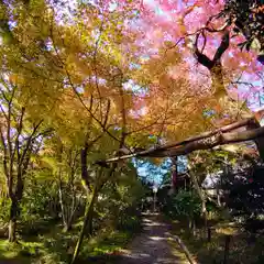 十輪寺(京都府)