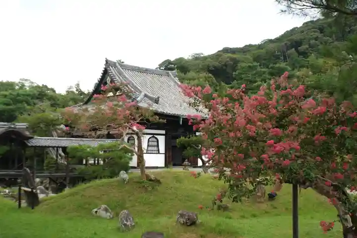 高台寺(高台寿聖禅寺・高臺寺)(京都府)