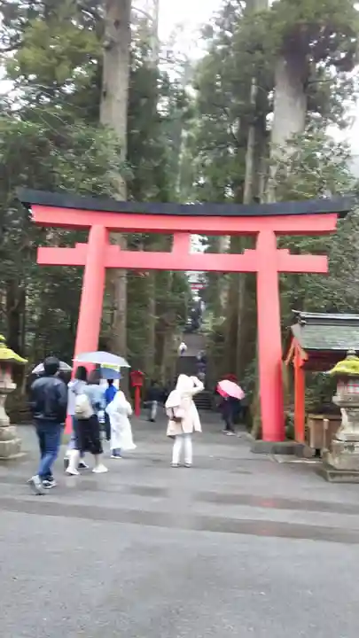 箱根神社の鳥居