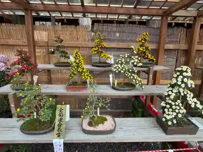 諏訪大社下社秋宮(長野県)