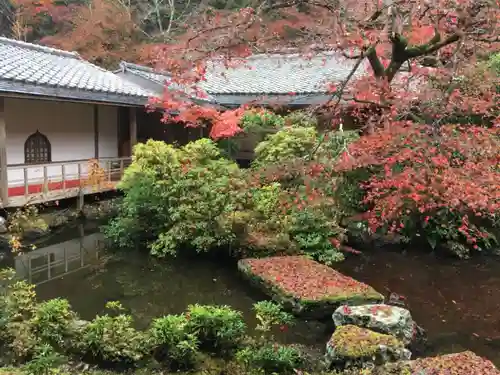 実相院門跡の庭園