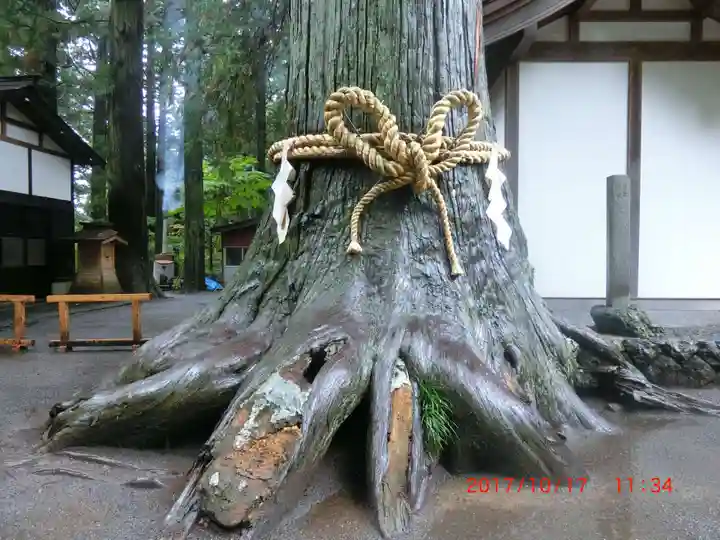 諏訪神社(北口本宮冨士浅間神社摂社)(山梨県)