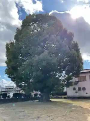 井出神社の庭園