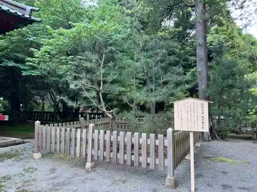 伊豆山神社の{uncategorized: "未分類", other: "その他", undefined: "問題あり", building: "その他建物", grave: "お墓", sacred_gate: "鳥居", guardian: "狛犬", statue: "像", buddha: "仏像", history: "歴史", nature: "自然", garden: "庭園", animal: "動物", pagoda: "塔", temizu: "手水舎", mountain_gate: "山門・神門", sanctuary: "本殿・本堂", subordinate: "末社・摂社", art: "芸術", scenery: "景色", jizo: "地蔵", ema: "絵馬", goshuin: "御朱印", omikuji: "おみくじ", items: "授与品その他", amulet: "お守り", goshuincho: "御朱印帳", eats: "食事", festival: "お祭り", votive_dance: "神楽", shichigosan: "七五三参", wedding: "結婚式", experience: "体験その他", initially: "初詣", around: "周辺", anti_infection: "感染症対策"}