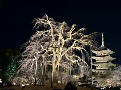 東寺(教王護国寺)の塔