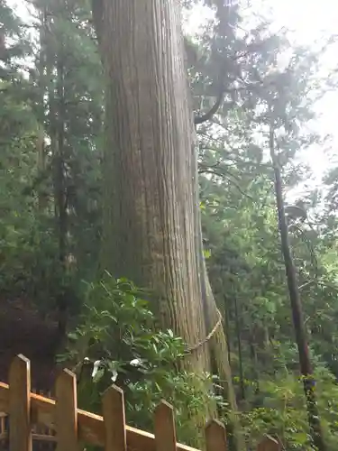 玉置神社の御朱印