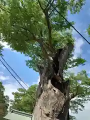 生島足島神社(長野県)