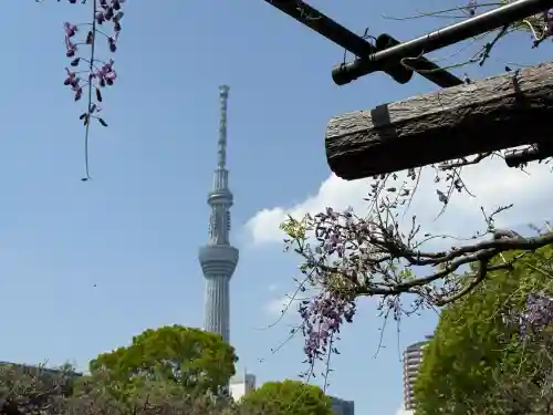 亀戸天神社(東京都)