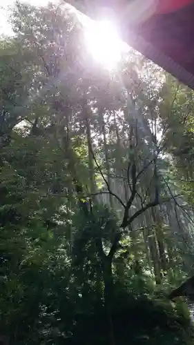 二上神社の自然