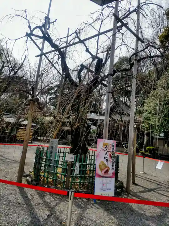 大國魂神社(東京都)