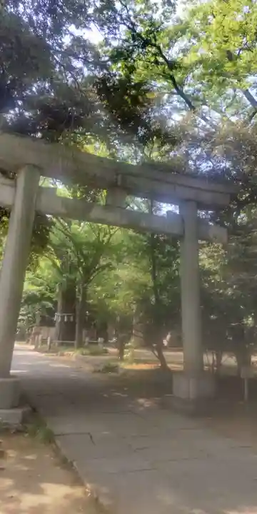 赤坂氷川神社(東京都)