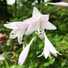 豊景神社の自然