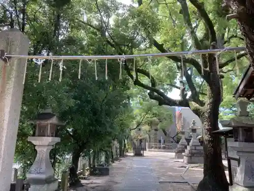 岡太神社の景色