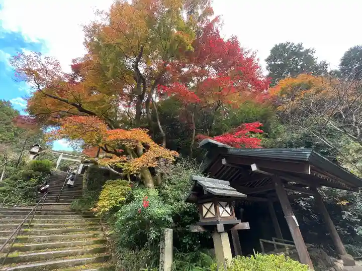 日向大神宮(京都府)