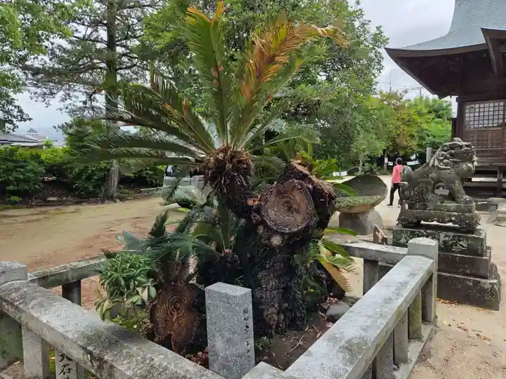 鳥栖八坂神社(佐賀県)