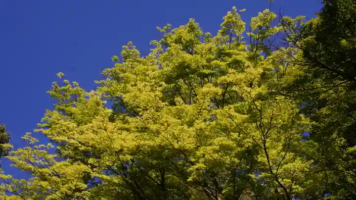 詩仙堂(丈山寺)(京都府)