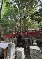 宝山寺(奈良県)