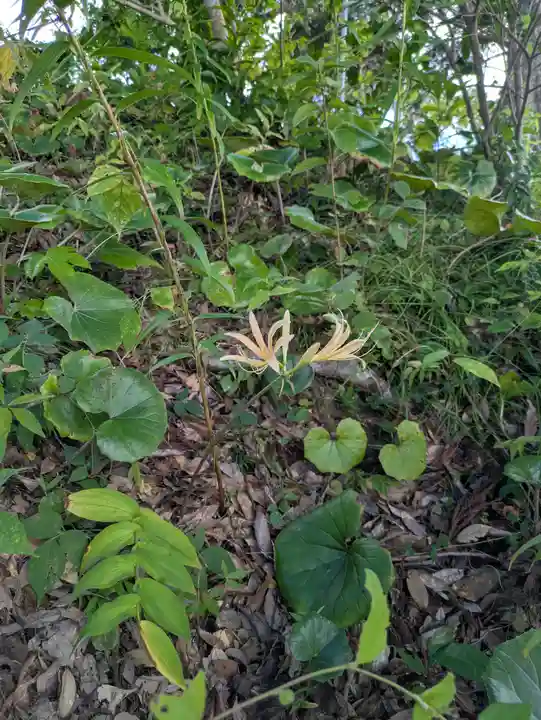 石堂寺(千葉県)