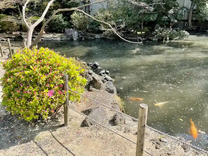 根津神社(東京都)