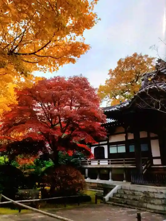 高円寺(東京都)