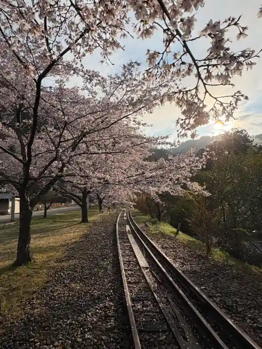 船場八幡神社の{uncategorized: "未分類", other: "その他", undefined: "問題あり", building: "その他建物", grave: "お墓", sacred_gate: "鳥居", guardian: "狛犬", statue: "像", buddha: "仏像", history: "歴史", nature: "自然", garden: "庭園", animal: "動物", pagoda: "塔", temizu: "手水舎", mountain_gate: "山門・神門", sanctuary: "本殿・本堂", subordinate: "末社・摂社", art: "芸術", scenery: "景色", jizo: "地蔵", ema: "絵馬", goshuin: "御朱印", omikuji: "おみくじ", items: "授与品その他", amulet: "お守り", goshuincho: "御朱印帳", eats: "食事", festival: "お祭り", votive_dance: "神楽", shichigosan: "七五三参", wedding: "結婚式", experience: "体験その他", initially: "初詣", around: "周辺", anti_infection: "感染症対策"}