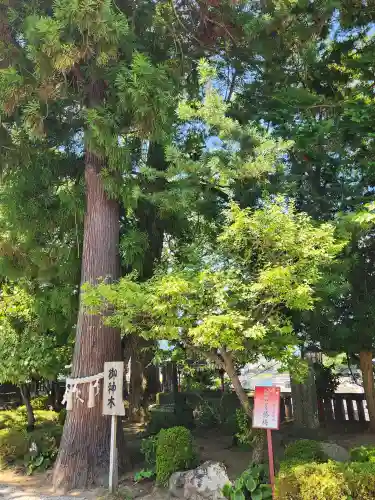 福良天満宮の自然