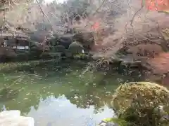 醍醐寺(京都府)