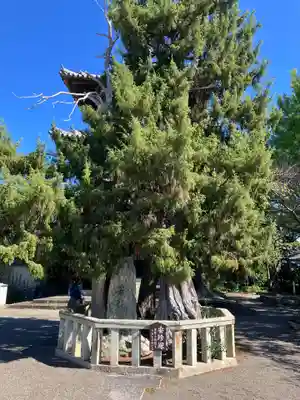 道成寺(和歌山県)