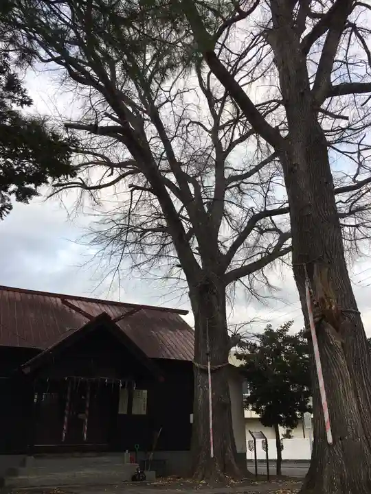 中の島神社(北海道)
