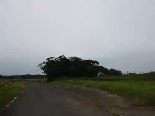 神社(名称不明)の景色