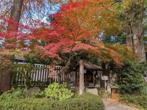 阿佐ヶ谷神明宮(東京都)