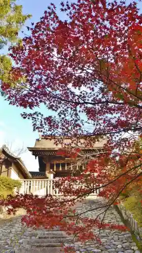 毘沙門堂門跡のその他建物