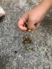 川田八幡神社の建物その他