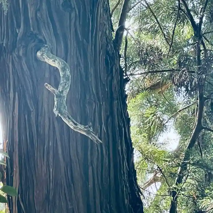 高岡神社(岡山県)