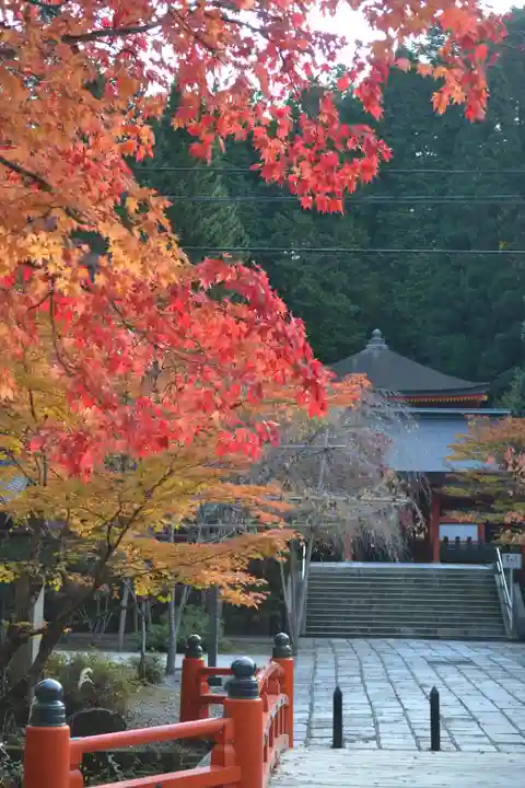 高野山金剛峯寺奥の院(和歌山県)