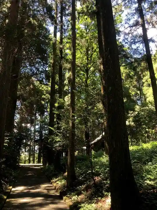 三郎神社の自然