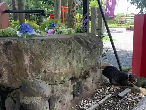 飯福神社(群馬県)