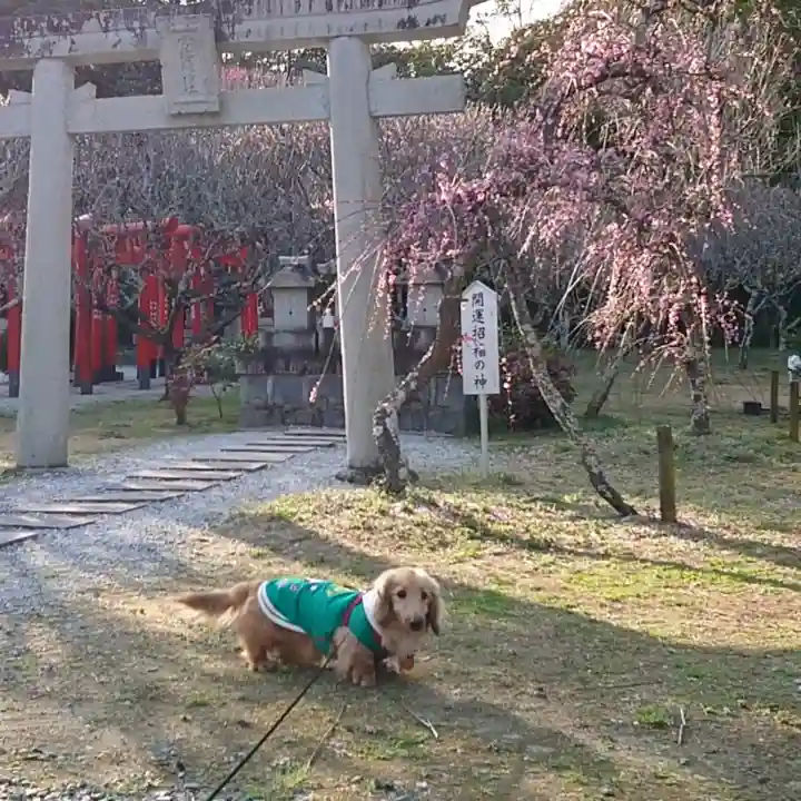 綱敷天満宮の{uncategorized: "未分類", other: "その他", undefined: "問題あり", building: "その他建物", grave: "お墓", sacred_gate: "鳥居", guardian: "狛犬", statue: "像", buddha: "仏像", history: "歴史", nature: "自然", garden: "庭園", animal: "動物", pagoda: "塔", temizu: "手水舎", mountain_gate: "山門・神門", sanctuary: "本殿・本堂", subordinate: "末社・摂社", art: "芸術", scenery: "景色", jizo: "地蔵", ema: "絵馬", goshuin: "御朱印", omikuji: "おみくじ", items: "授与品その他", amulet: "お守り", goshuincho: "御朱印帳", eats: "食事", festival: "お祭り", votive_dance: "神楽", shichigosan: "七五三参", wedding: "結婚式", experience: "体験その他", initially: "初詣", around: "周辺", anti_infection: "感染症対策"}
