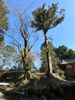 足柄神社(静岡県)
