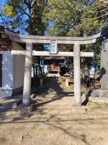 桜神社(埼玉県)
