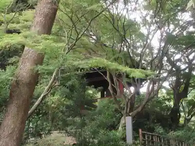 妙本寺(神奈川県)