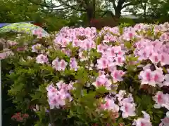 長岡天満宮の自然