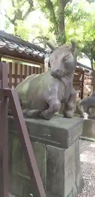 牛嶋神社の狛犬